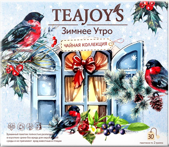 Чай TEAJOYS (ТиДжойс)"Зимнее утро" ассорти, 6 вкусов по 2 грамма 003836 - фото 2945